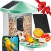 VEVOR Smart Bird Feeder with Camera AI Identify 10000+ Bird Specie Solar-Powered - 2 Panels on Roof Side + 1 External 3W Panel - Green