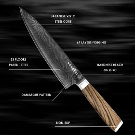 Kegani Chef Knife - 8 Inch Japanese Knife, 67 Layers Japanese VG-10 Damascus Steel Ultra Sharp Kitchen Knife, Professional Chef Knife Gyuto Knife- Erg