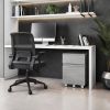 Techni Mobili Rolling Two Drawer Vertical Filing Cabinet with Lock and Storage, Grey - as Pic