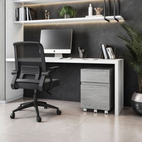 Techni Mobili Rolling Two Drawer Vertical Filing Cabinet with Lock and Storage, Grey - as Pic