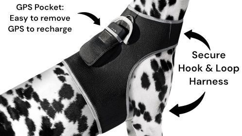 Pet Tracker Pocket GPS Dog Tracking Systems for Pet Security Surveillance Size:XS - Default