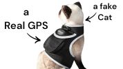 Pocket Waterproof Collar GPS Pet Locator Realtime Remote Surveillance Size:XL - Default