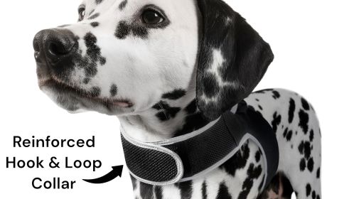 Mini GSM GPS Dog Tracking Systems with Alarm for Pet Wireless Security Size:S - Default