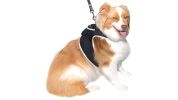 Wireless GPS Pet Security Surveillance Remote Tracking System Locator Size:S - Default