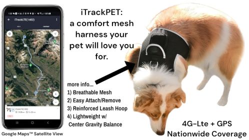 Realtime GPS Pet Tracker for Phone - Wireless Remote Pet Surveillance Size:XL - Default