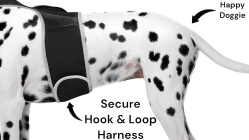 Portable Realtime Remote Surveillance GPS Pet Tracker for Phone w/ App Size:S - Default
