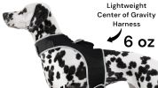 Remote Pet Surveillance Pet Tracker GPS Dog Trackers Collar Mounted Finder Size:XL - Default