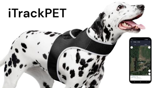 Pet Tracker Security Collar GPS for Pet Wireless GSM GPRS Tracking System Size:XXL - Default