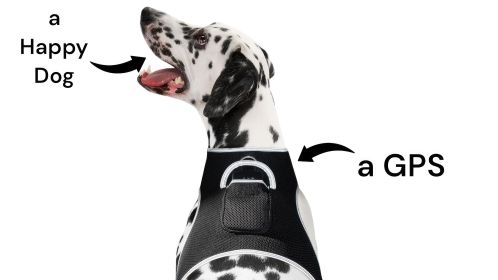 Mini GSM GPS Dog Tracking Systems with Alarm for Pet Wireless Security Size:L - Default