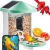 VEVOR Smart Bird Feeder with Camera 2K HD AI Identify Bird Species Solar-Powered - 2 Panels on Roof Side - Green