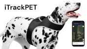 Realtime GPS Pet Tracker for Phone - Wireless Remote Pet Surveillance Size:XL - Default