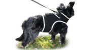 Pocket Waterproof Collar GPS Pet Locator Realtime Remote Surveillance Size:XL - Default