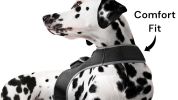 Pocket Collar Pet GPS Tracking Device Dog Cat Wireless Security System Size:S - Default