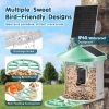 VEVOR Smart Bird Feeder with Camera AI Identify 10000+ Bird Specie Solar-Powered - 2 Panels on Roof Side + 1 External 3W Panel - Green