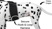 Remote Pet Surveillance Pet Tracker GPS Dog Trackers Collar Mounted Finder Size:S - Default