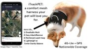 Waterproof GPS Tag Pet Tracker Realtime Security Surveillance System Size:M - Default