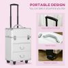 Rolling Makeup Train Case, Large Storage Cosmetic Trolley, Lockable Traveling Cart Trunk with Folding Trays, Swivel Wheels and Keys, Silver - Silver