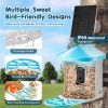 VEVOR Smart Bird Feeder with Camera 2K HD AI Identify Bird Species Auto Capture - 1 External 3W Panel - Blue