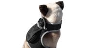 Remote Pet Surveillance Pet Tracker Waterproof Collar Mounted GPS for Pet Size:M - Default