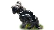 Pet Tracker Wireless Pet Security Surveillance GSM GPS Dog Tracking System Size:S - Default