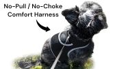 Pet Tracker Wireless Pet Security Surveillance GSM GPS Dog Tracking System Size:M - Default