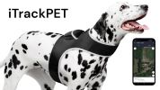 Wireless GPS Pet Security Surveillance Remote Tracking System Locator Size:XXL - Default