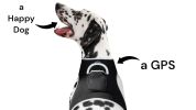 Wireless GPS Pet Security Surveillance Remote Tracking System Locator Size:XXL - Default