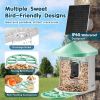VEVOR Smart Bird Feeder with Camera 2K HD AI Identify Bird Species Auto Capture - 1 External 3W Panel - Green