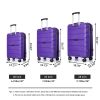 Hardshell Suitcase Spinner Wheels PP Luggage Sets Lightweight Durable Suitcase with TSA Lock,3-Piece Set (20/24/28) ,Purple - as Pic