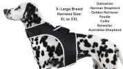 Waterproof GPS Tracking System for Dogs Realtime Pet Security Tracker Size:XXL - Default