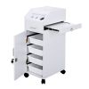 Hair Salon Storage Cart with Wheels & 3 Hair Dryer Holders & 4 Drawers & Lock & 2 Keys, Hairdressing Tools Station Mobile Makeup Case White - as pictu