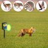 Solar Ultrasonic Animal Repeller with Flame Light USB Charge Motion Sensor Animal Repellent Chaser IP55 Waterproof Dog Raccoon Fox Skunk - Green