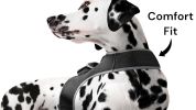 Mini GSM GPS Dog Tracking Systems with Alarm for Pet Wireless Security Size:XL - Default