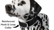 Pocket Waterproof Collar GPS Pet Locator Realtime Remote Surveillance Size:XL - Default