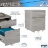 Techni Mobili Rolling Two Drawer Vertical Filing Cabinet with Lock and Storage, Grey - as Pic