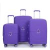 Expandable Hardshell Suitcase Double Spinner Wheels PP Luggage Sets Lightweight Durable Suitcase with TSA Lock,3-Piece Set (20/24/28) , Purple - as Pi