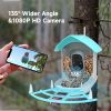 Smart Bird Feeder With Camera, AI Identify Bird Species & Solar Panel, Bird Watching Camera, Auto Capture Bird Video, Instant Bird Arrival Alert, Live