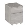 Techni Mobili Rolling Two Drawer Vertical Filing Cabinet with Lock and Storage, Grey - as Pic