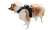 Waterproof GPS Tag Pet Tracker Realtime Security Surveillance System Size:L - Default