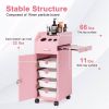 Hair Salon Storage Cart with Wheels & 3 Hair Dryer Holders & 4 Drawers & Lock & 2 Keys, Hairdressing Tools Station Mobile Makeup Case pink - as pictur