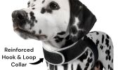 Pocket Waterproof Collar GPS Pet Locator Realtime Remote Surveillance Size:M - Default