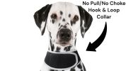Pet Tracker Security Collar GPS for Pet Wireless GSM GPRS Tracking System Size:XL - Default