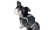 Pocket Waterproof Collar GPS Pet Locator Realtime Remote Surveillance Size:M - Default
