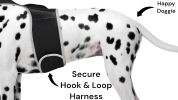 Realtime GPS Pet Tracker for Phone - Wireless Remote Pet Surveillance Size:XS - Default