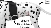 Waterproof GPS Tag Pet Tracker Realtime Security Surveillance System Size:L - Default