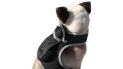 Wireless GPS Pet Security Surveillance Remote Tracking System Locator Size:L - Default